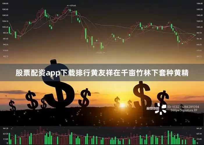 股票配资app下载排行黄友祥在千亩竹林下套种黄精