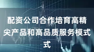 配资公司合作培育高精尖产品和高品质服务模式